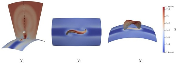 S-shaped field lines